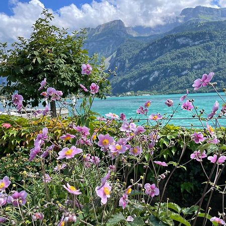 Chalet Romantica Carpe Diem Best View Best Location Brienz Kültér fotó
